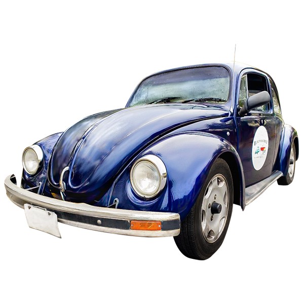 Volkswagen 81 100% Electric