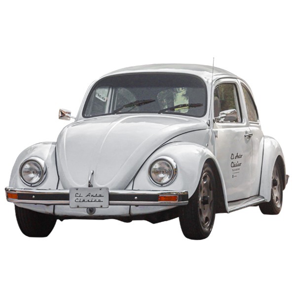 Volkswagen 81 100% Electric